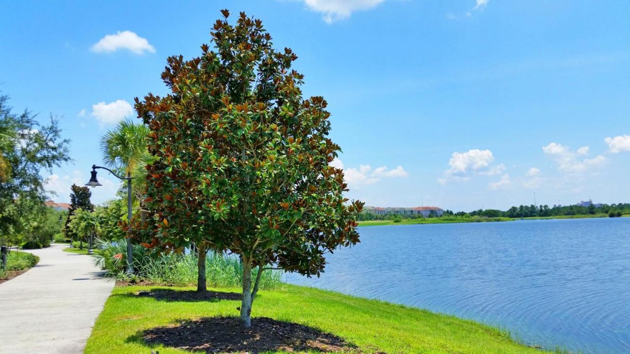 אורלנדו Newly Updated Condo W Scenic Resort View מראה חיצוני תמונה